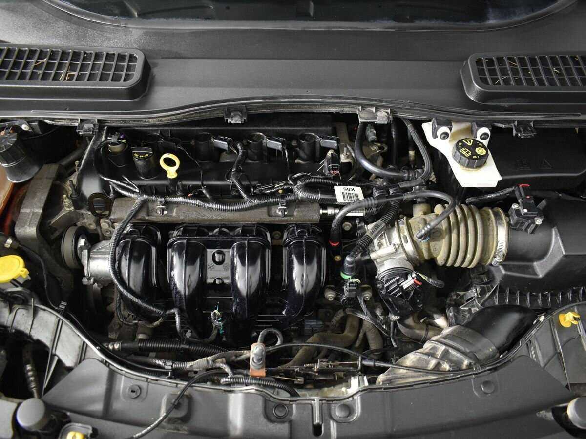 Ford Kuga, 2017 - Фото №18