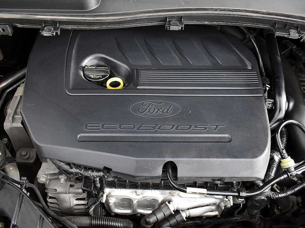 Ford Kuga, 2018 - Фото №19