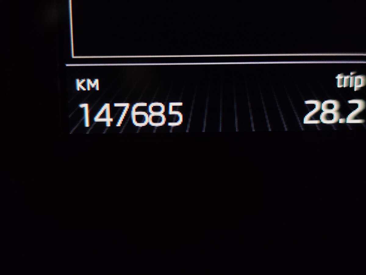 Skoda Octavia, 2016 - Фото №6