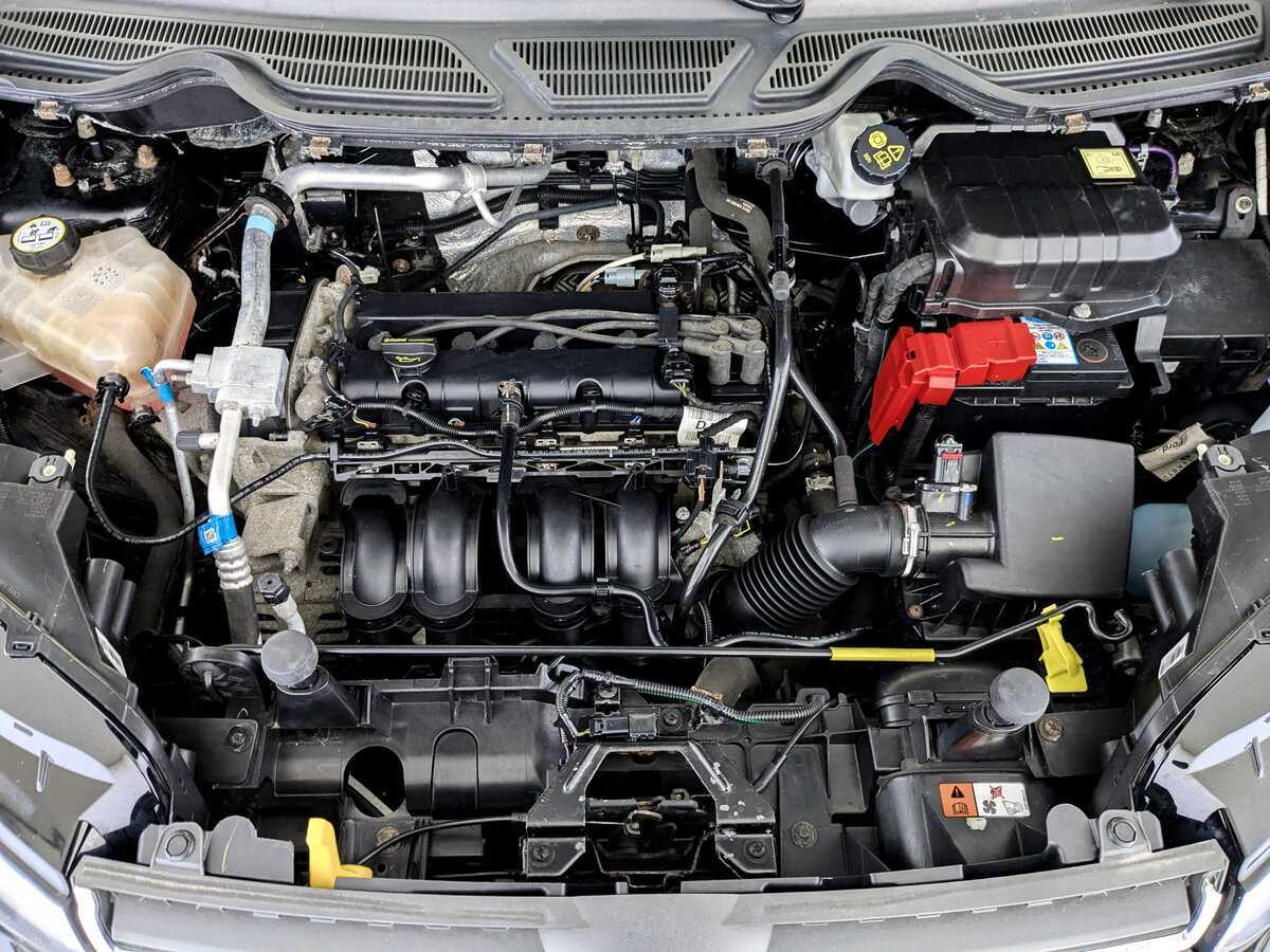 Ford EcoSport, 2018 - Фото №8