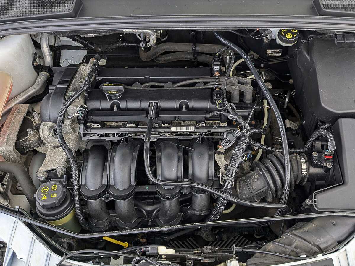 Ford Focus, 2018 - Фото №8