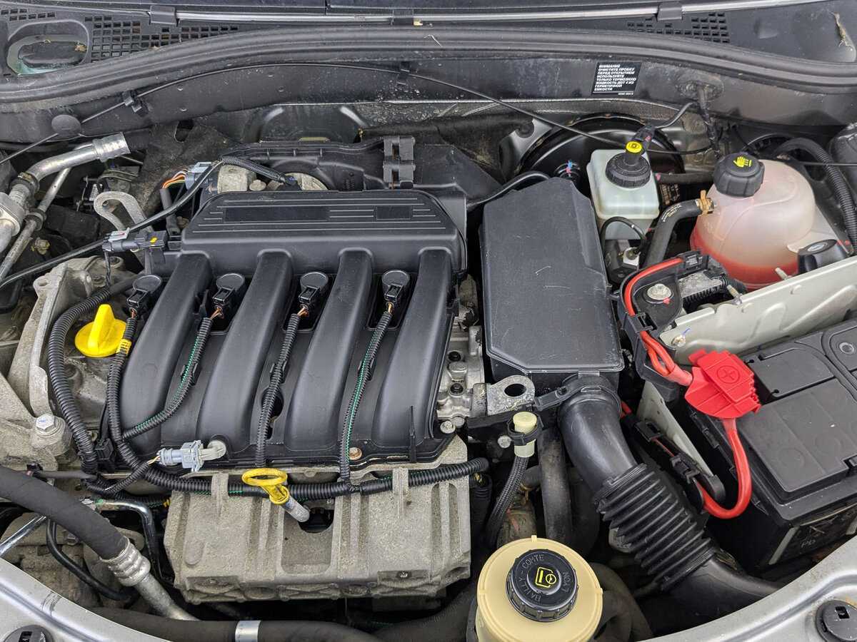 Nissan Terrano, 2015 - Фото №8