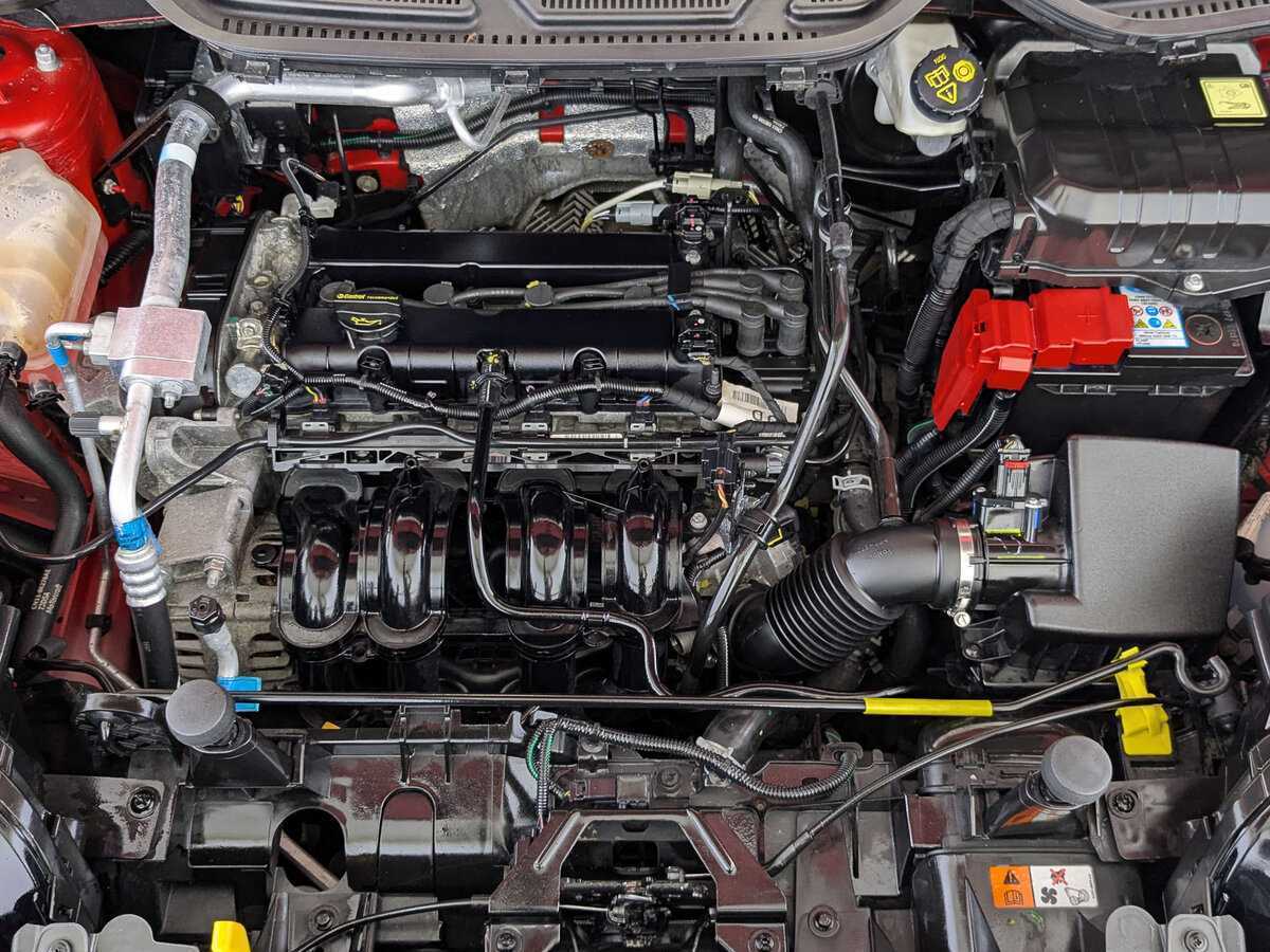 Ford EcoSport, 2018 - Фото №8