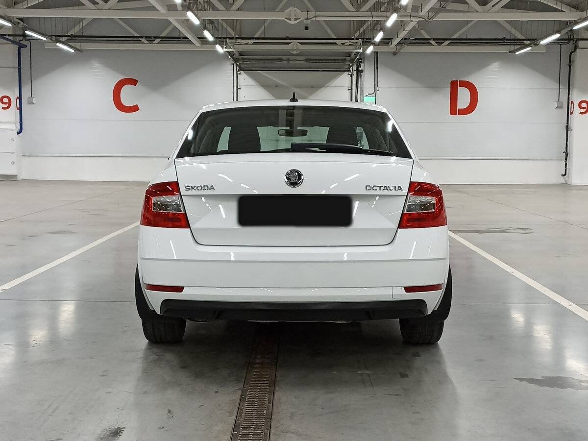 Skoda Octavia, 2019 - Фото №5