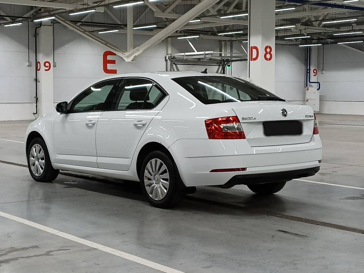 Skoda Octavia, 2019 - Фото №6