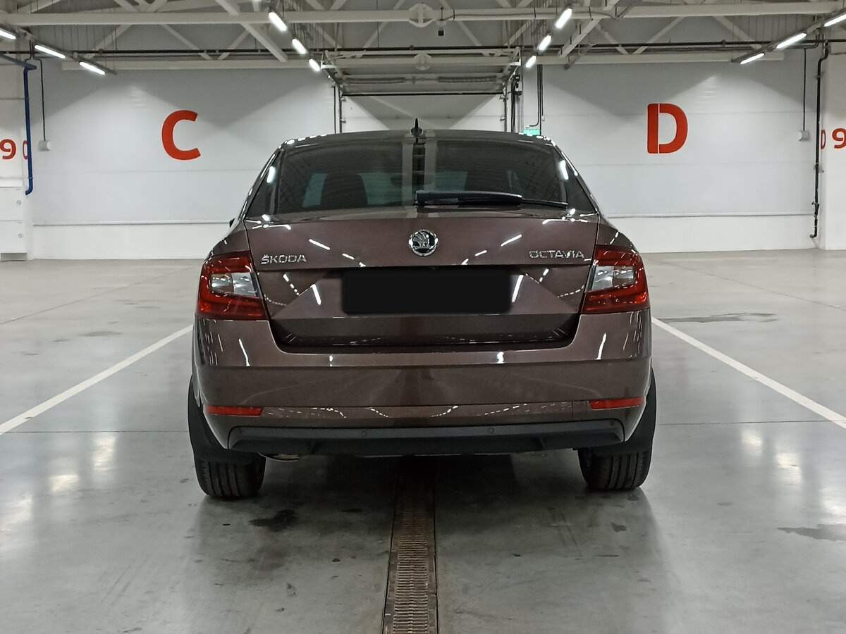 Skoda Octavia, 2018 - Фото №5